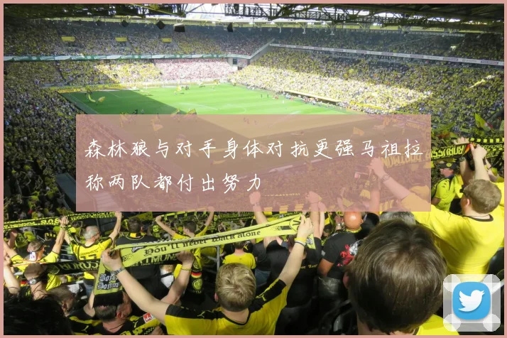 森林狼与对手身体对抗更强马祖拉称两队都付出努力